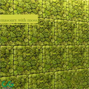 fitowall